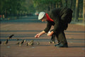 769012 Feeding Birds, Constitution Hall, London, England A4 Photo Print