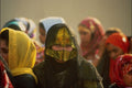 769023 Omani Women From Village, Riding In Truck A4 Photo Print
