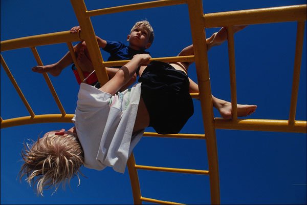 769075 Hanging Around A4 Photo Print