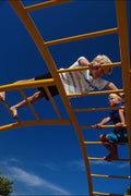 769076 Jungle Gym A4 Photo Print