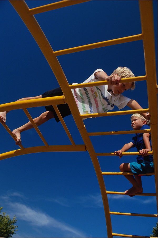 769076 Jungle Gym A4 Photo Print