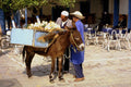 770002 Onion Vendor, Sidi Bou Sahid A4 Photo Print