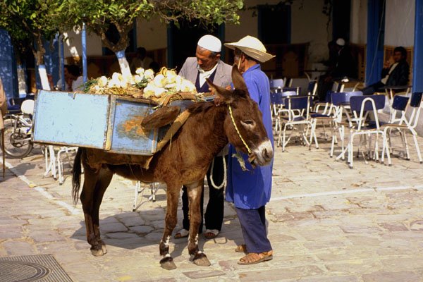 770002 Onion Vendor, Sidi Bou Sahid A4 Photo Print