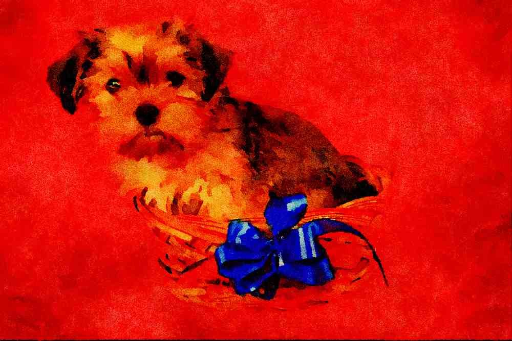 771005 Shih Tzu Puppy In A Small Basket With Blue Bow A4 Limited Edition Watercolour Print