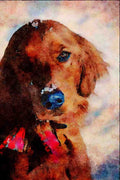 771010 Dog In Snow A4 Limited Edition Watercolour Print