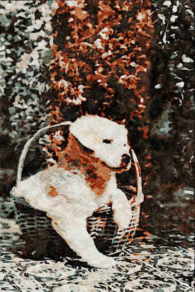 771011 White Puppy A4 Limited Edition Watercolour Print