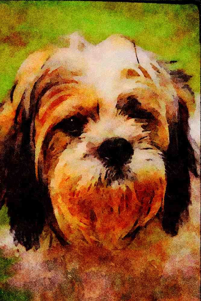 771013 Bengie The Dog A4 Limited Edition Watercolour Print