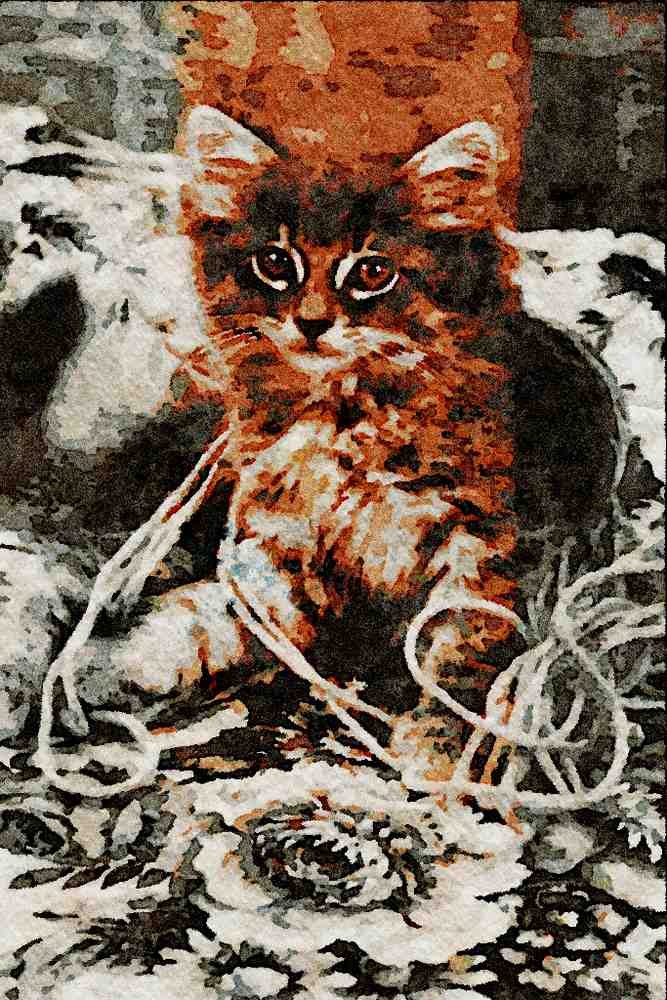 771015 Gray Kitten, Pink Wool A4 Limited Edition Watercolour Print