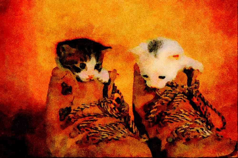 771016 Kittens In Boots A4 Limited Edition Watercolour Print