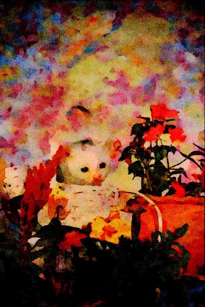 771017 Kitten In Basket A4 Limited Edition Watercolour Print