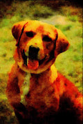 771018 Dog A4 Limited Edition Watercolour Print
