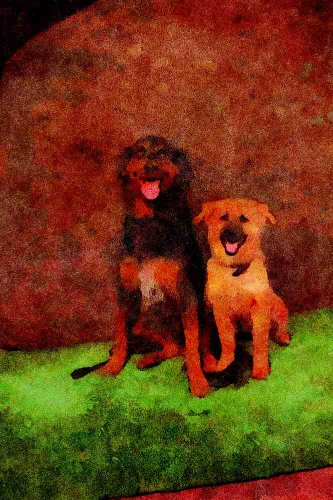 771019 Two Dogs, Short And Tall A4 Limited Edition Watercolour Print