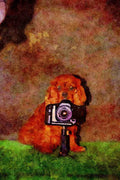 771021 Sam The Cavalier Behind Camera A4 Limited Edition Watercolour Print