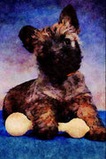 771022 Puppy With Toy A4 Limited Edition Watercolour Print