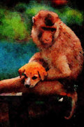 771024 Monkey And Dog A4 Limited Edition Watercolour Print