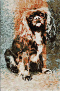 771026 Cavalier King Charles Spaniel A4 Limited Edition Watercolour Print