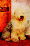 771029 Old English Sheepdog A4 Limited Edition Watercolour Print