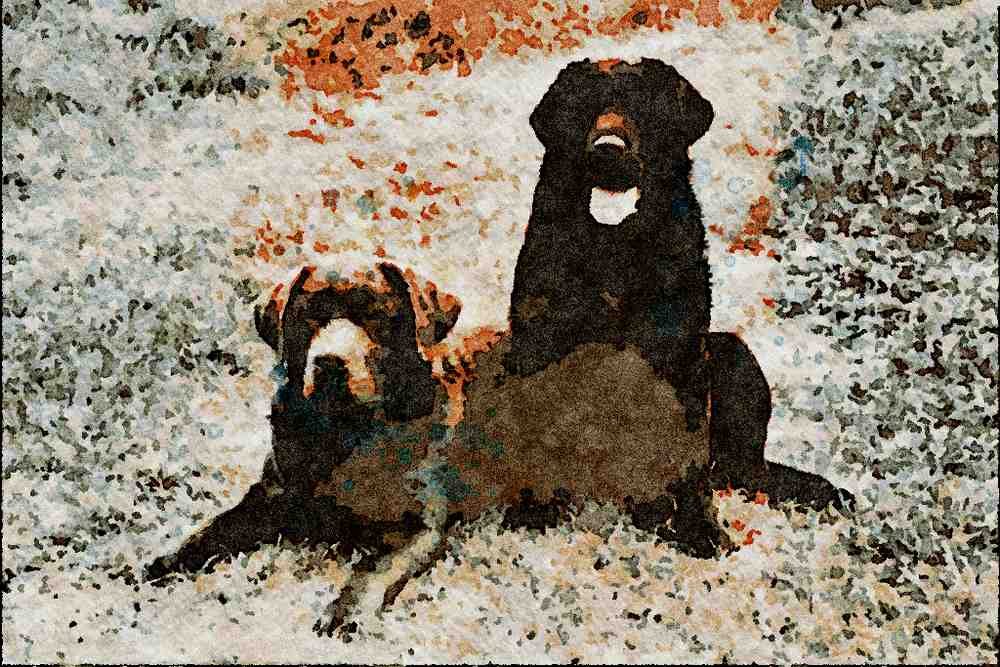 771032 Chocolate And Black Labrador Retrievers A4 Limited Edition Watercolour Print