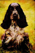 771035 Cocker Spaniel A4 Limited Edition Watercolour Print
