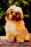 771037 Lhasa Apso Puppy A4 Limited Edition Watercolour Print