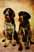 771059 German Wirehaired Pointers A4 Limited Edition Watercolour Print