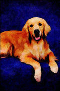 771063 Golden Retriever A4 Limited Edition Watercolour Print