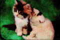 771067 Two Sleepy Kittens A4 Limited Edition Watercolour Print