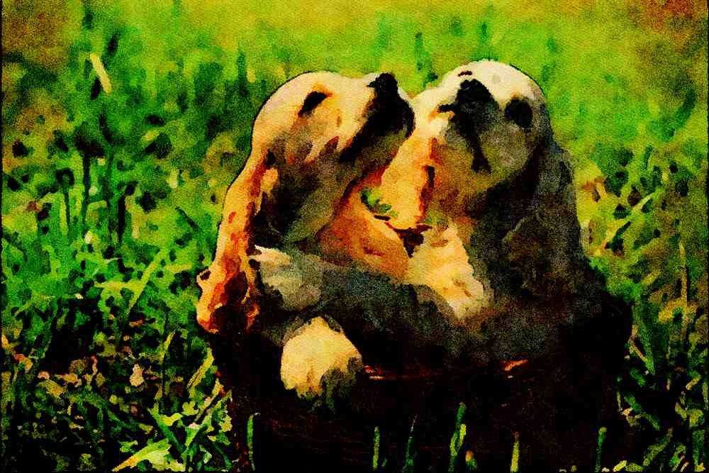 771073 Cocker Spaniel Puppies A4 Limited Edition Watercolour Print