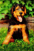 771074 Airedale Puppy A4 Limited Edition Watercolour Print