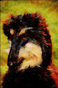 771078 Afghan Hound Puppy A4 Limited Edition Watercolour Print
