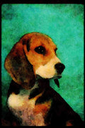 771081 Beagle A4 Limited Edition Watercolour Print