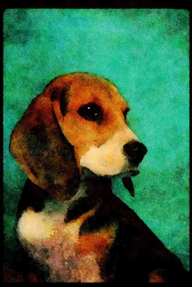 771081 Beagle A4 Limited Edition Watercolour Print