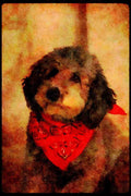 771086 Terrier A4 Limited Edition Watercolour Print