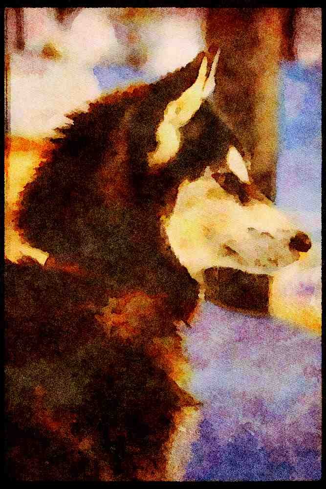 771087 On Alert A4 Limited Edition Watercolour Print