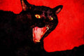 771096 Bran, Yawning Pet Cat Looking Like A Snarling Panther A4 Limited Edition Watercolour Print