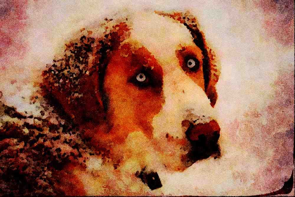 771097 Blue Eyes A4 Limited Edition Watercolour Print