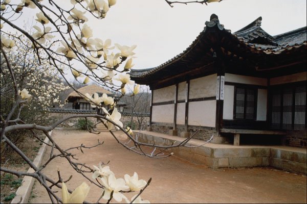 772003 Old Palace In Spring A4 Photo Print