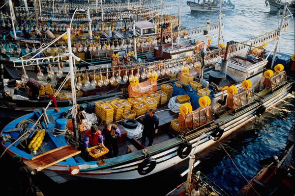 772029 Fishing Boats A4 Photo Print