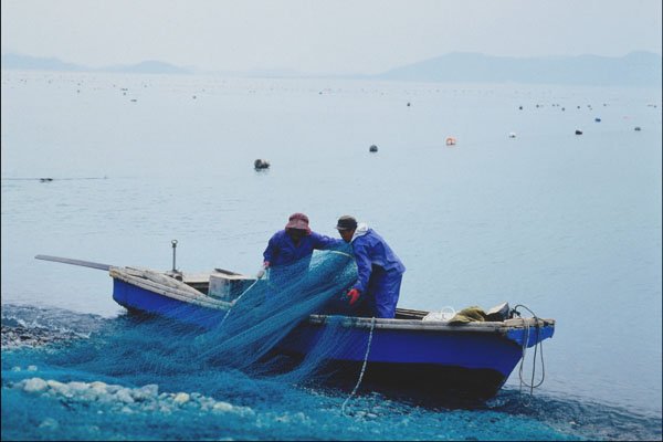 772049 Fishing A4 Photo Print