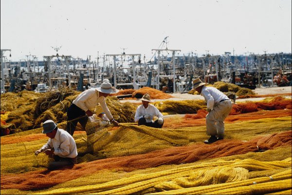 772050 Trimming Fishing Net A4 Photo Print