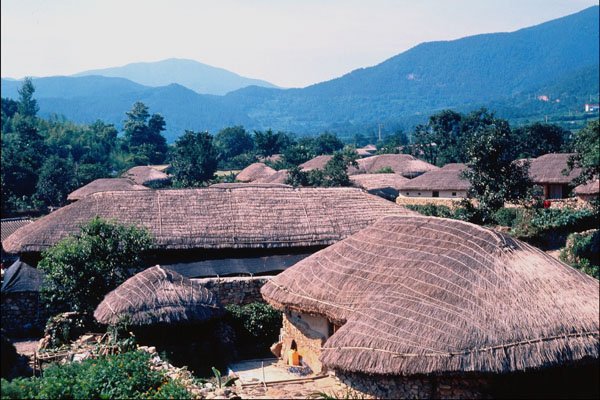 772065 Grass roofed Houses A4 Photo Print