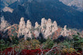 772084 Mount Soraksan, In Fall A4 Photo Print
