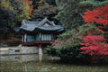 772094 Changdok Palace In Fall A4 Photo Print