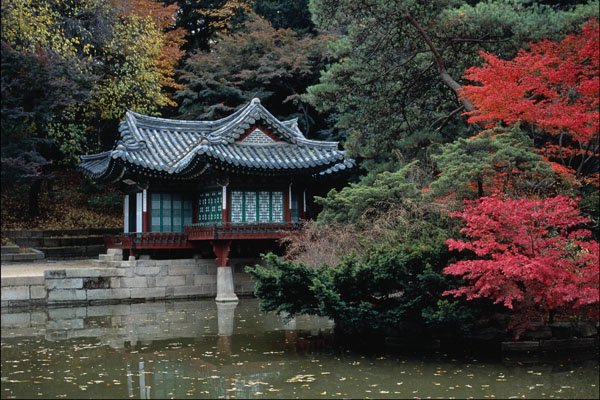 772094 Changdok Palace In Fall A4 Photo Print