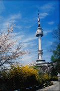 772096 Spring, Namsan Tower, Seoul, South Korea A4 Photo Print