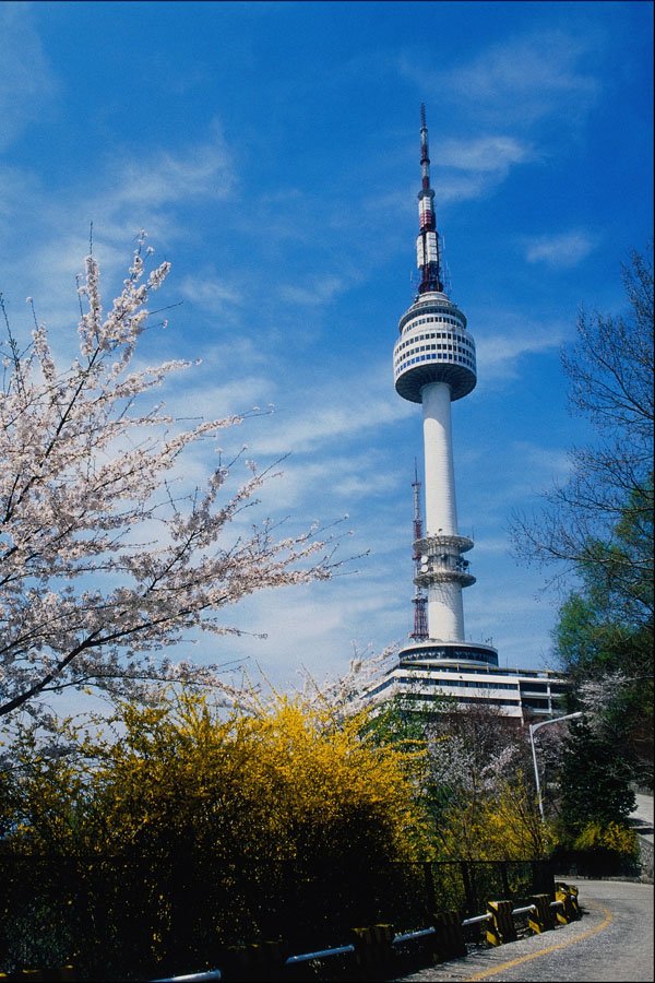 772096 Spring, Namsan Tower, Seoul, South Korea A4 Photo Print