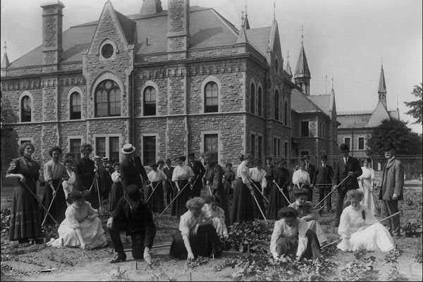 773032 Model School, Ottawa, Ontario, 1909, PA136139 A4 Photo Print