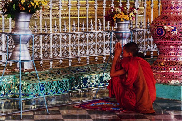 776069 Monk At Prayer, Myanmar A4 Photo Print