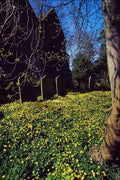 776071 Marsh Church A4 Photo Print