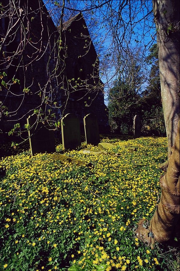 776071 Marsh Church A4 Photo Print